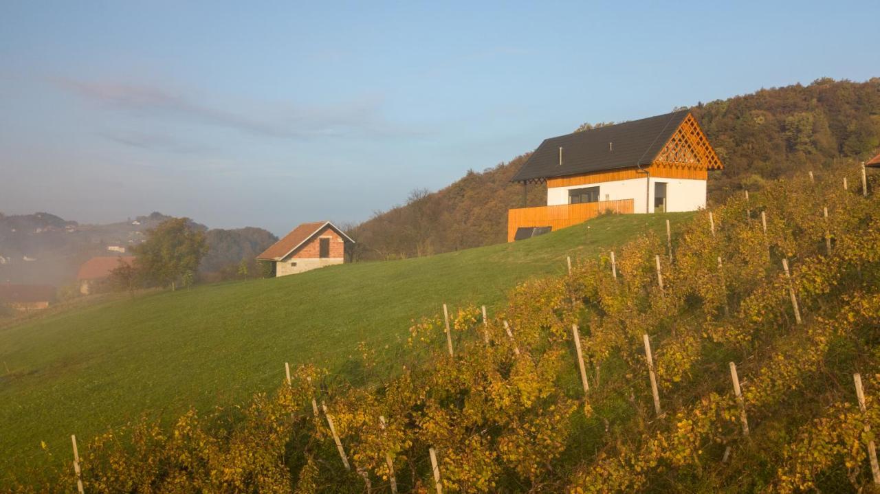 Villa Strtenica In The Vineyard Pristava pri Mestinju Zewnętrze zdjęcie