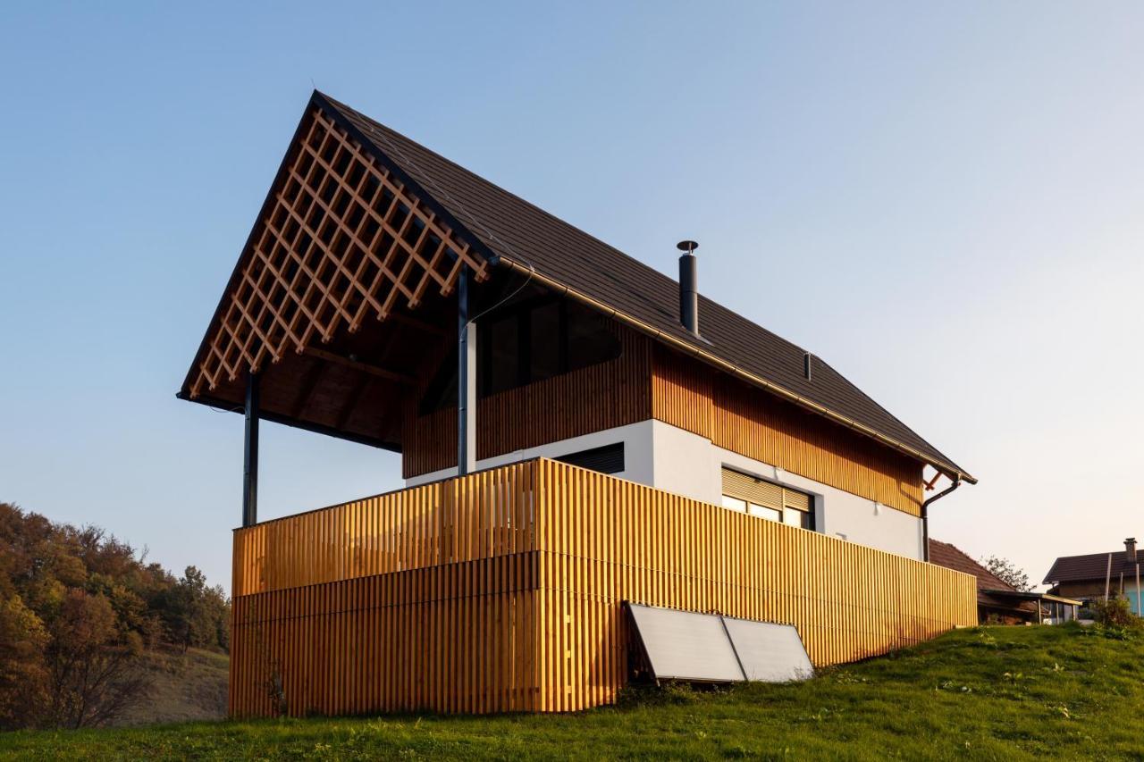 Villa Strtenica In The Vineyard Pristava pri Mestinju Zewnętrze zdjęcie