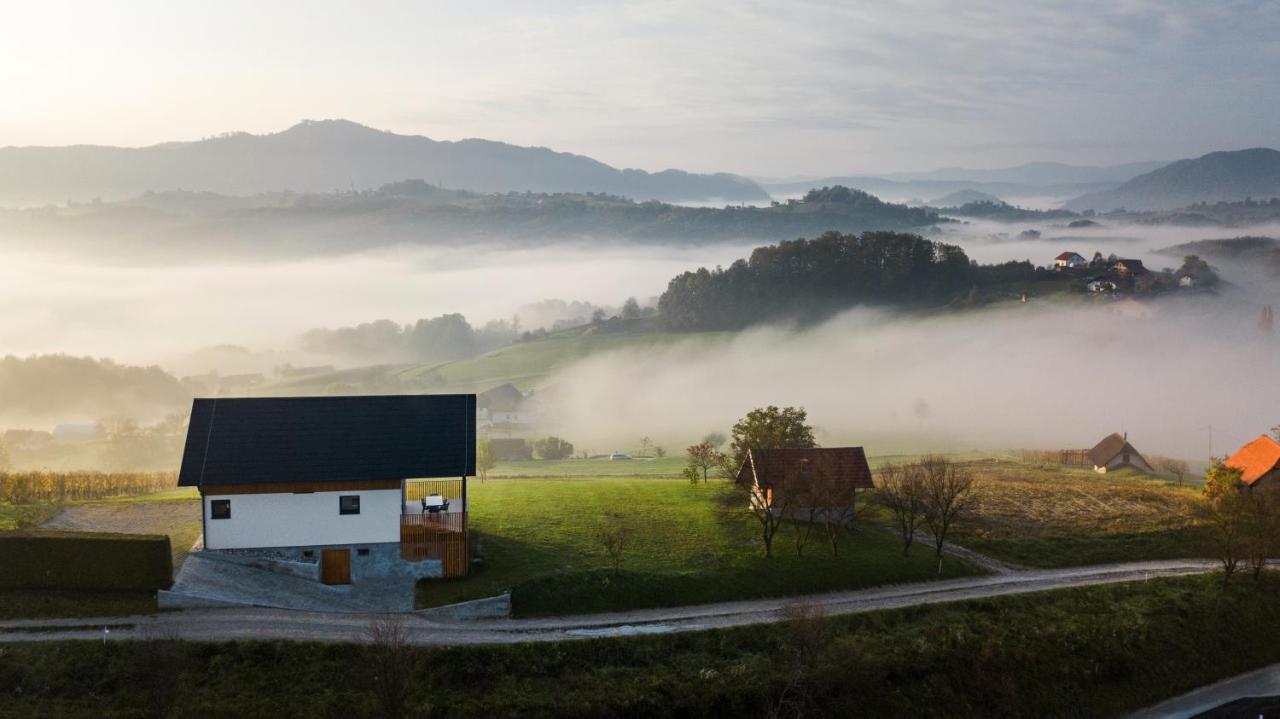Villa Strtenica In The Vineyard Pristava pri Mestinju Zewnętrze zdjęcie