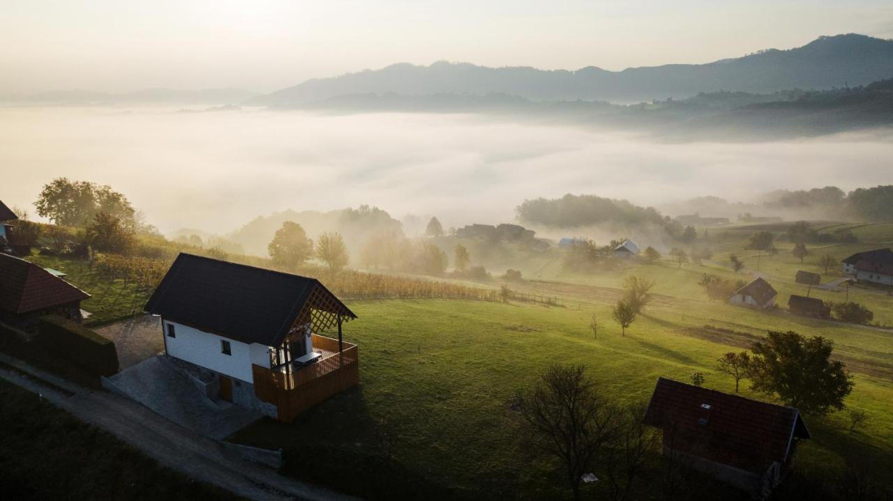 Villa Strtenica In The Vineyard Pristava pri Mestinju Zewnętrze zdjęcie