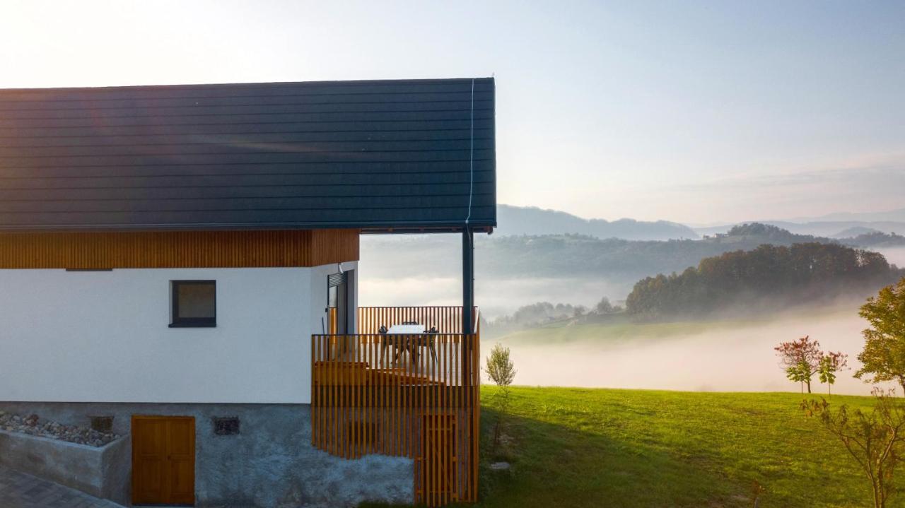 Villa Strtenica In The Vineyard Pristava pri Mestinju Zewnętrze zdjęcie