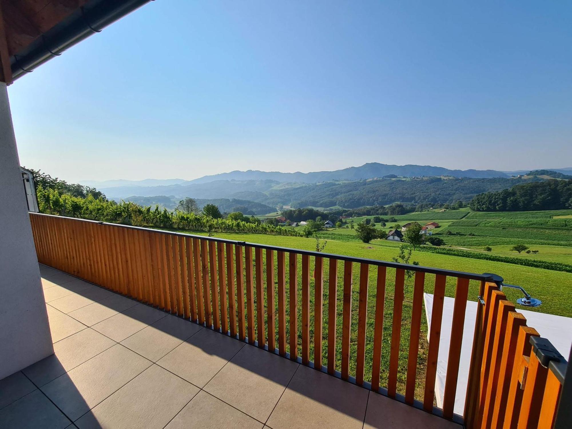 Villa Strtenica In The Vineyard Pristava pri Mestinju Zewnętrze zdjęcie